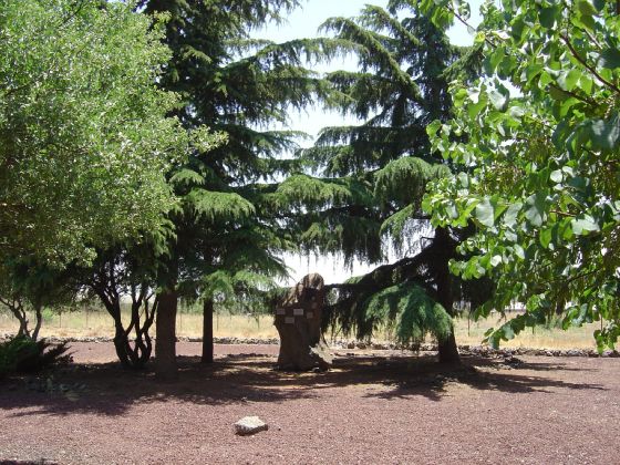 אנדרטת ההנצחה המרכזית באל רום